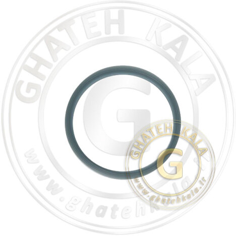  واشر ته پارچ مخلوط کن تفال مولینکس lm310 